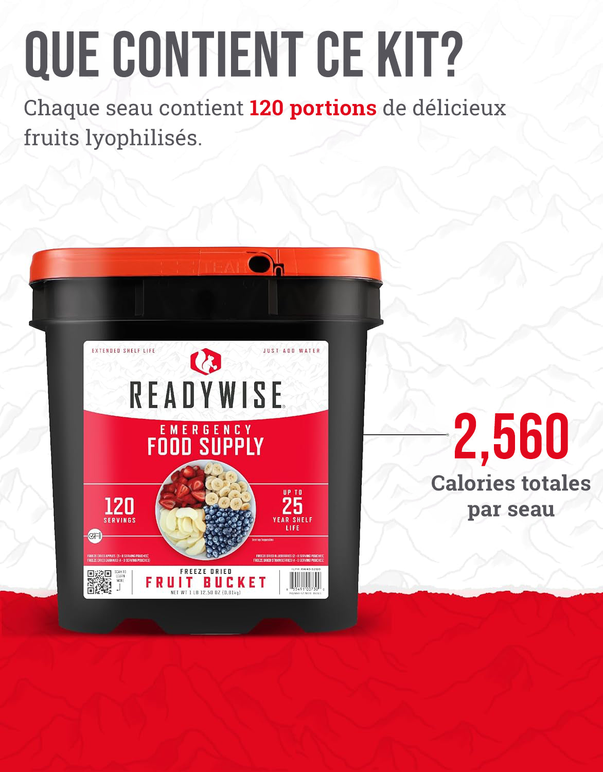 Seau de fruits lyophilisés de 120 portions, jusqu'à 25 ans